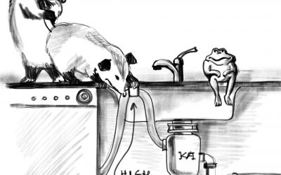 Dishwasher contamination Part I -The high loop.
