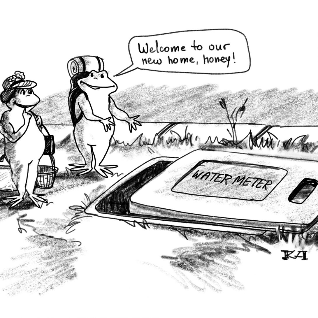 Your Water Meter