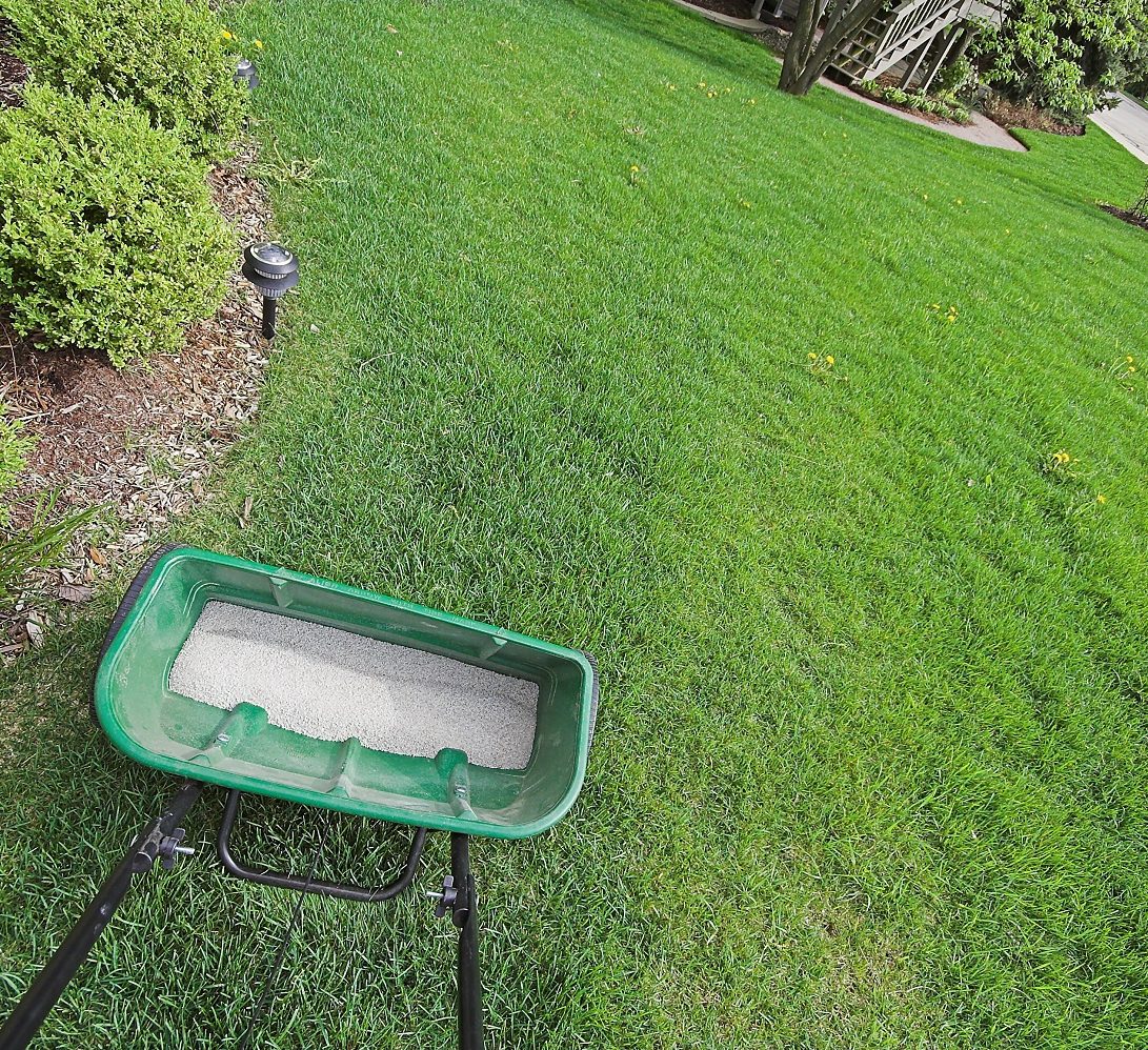 Lawn Fertilizer Schedule Interval 3