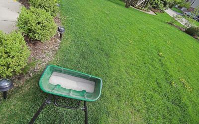 Lawn Fertilizer Schedule Interval 2