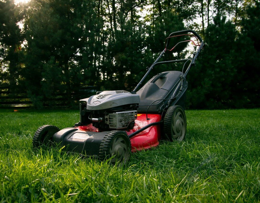 Lawn Maintenance Tips for Spring and Summer