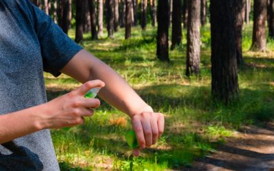 4 Ways to Keep Mosquitoes Off Your Property