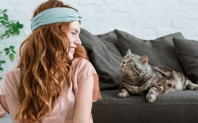 9 Pet-Safe Indoor Plants